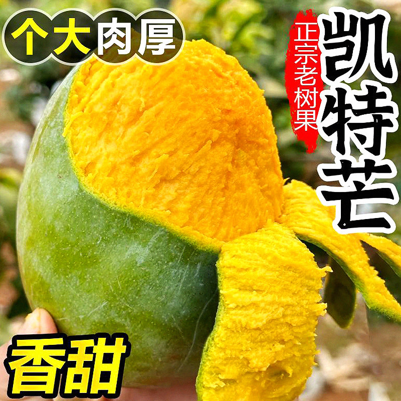 正宗攀枝花凯特大甜芒果5斤新鲜水果当季整箱现摘青皮大芒果9