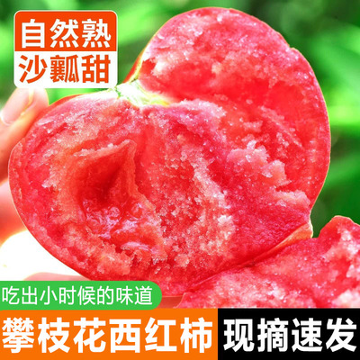 攀枝花露天普罗旺斯老品种西红柿新鲜自然熟水果番茄生吃起沙瓤
