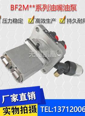 新款油嘴油泵BFG2M75D BF2M75D BFG2K75 BF2M75  BF2M**系列喷油