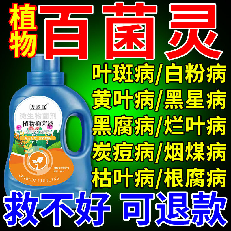 花病康喷剂多菌菌灵杀菌剂植物月季黄叶病菌立清炭疽病兰花黑斑病