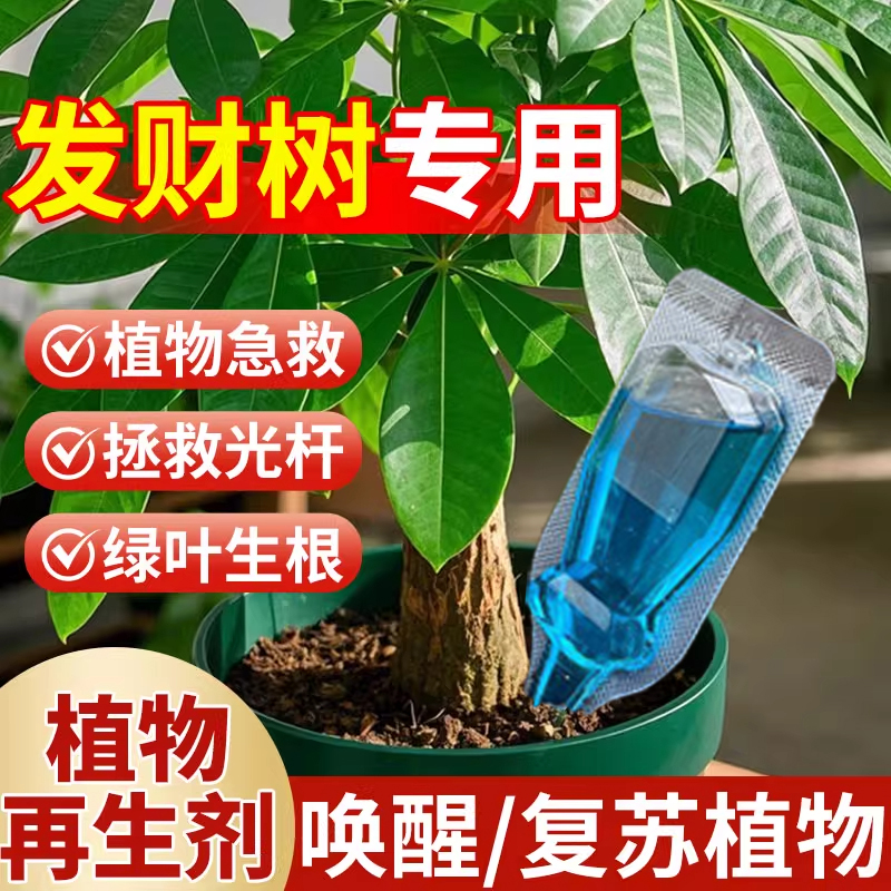 植物再生剂发财树专用营养液