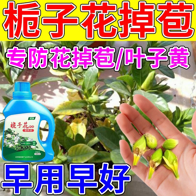 栀子花黄叶掉叶掉花苞专用肥料营养液急救液体助生长叶增绿促开花