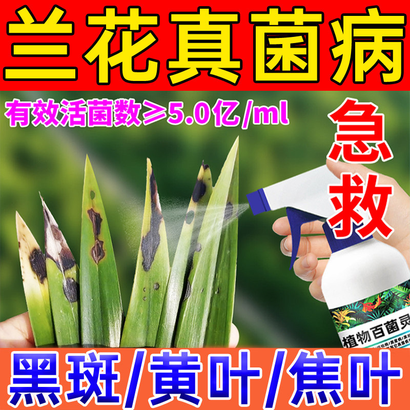 兰花软腐病黑斑病专用杀菌剂兰花杀菌剂真菌细菌病毒病杀菌剂