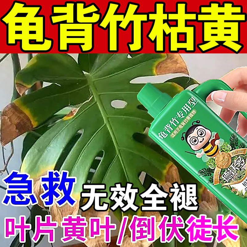 龟背竹水培植物营养液黄叶卷边烂根黄斑壮根大型喷施叶面肥通用型