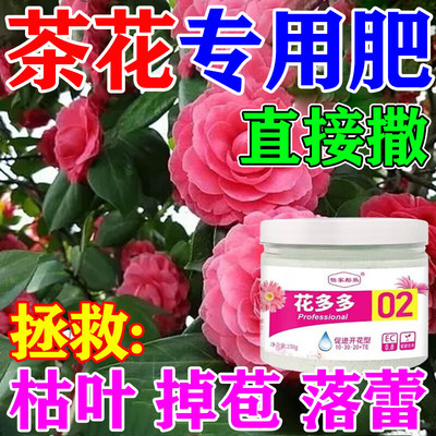 茶花专用肥促花爆花肥料花卉养花营养液预防黄叶枯叶黑斑复合肥