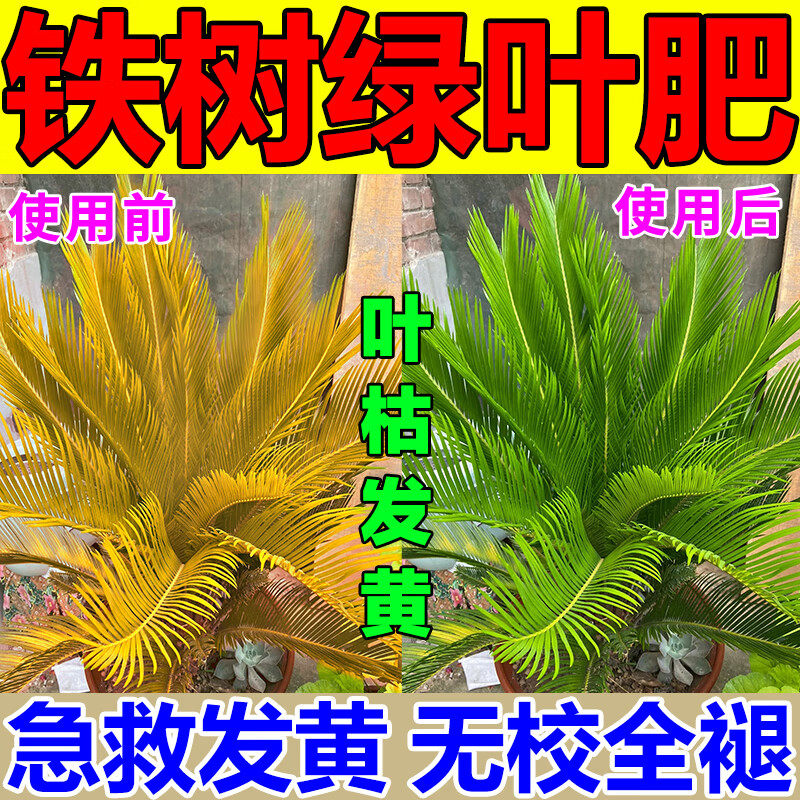 铁树专用肥料营养液防叶子发黄烂根干枯专用花卉植物通用肥料