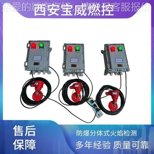 威燃控设紫外BWFZJ-1线火宝焰检测备BWZJ-1FKF
