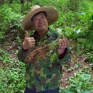 可麸炒熟搭白芍白茯苓做三白汤泡水 费中药材正品 免邮 白术500g克