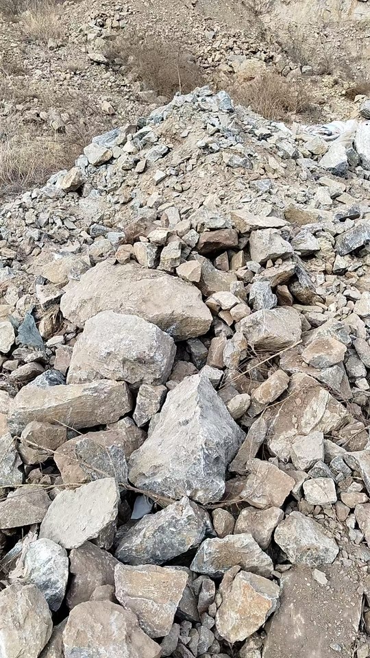 1月16日延边处置一些非法采矿山皮石、砂石网络拍卖公告