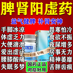 刺五加片健脾益肾湿气重祛湿调理脾肾阳虚中成药双补益气补肾安神