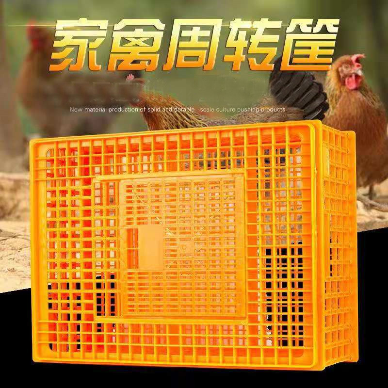 塑料鸡笼 养殖厂鸡鸭鹅鸽兔周转箱家禽周转筐运输笼