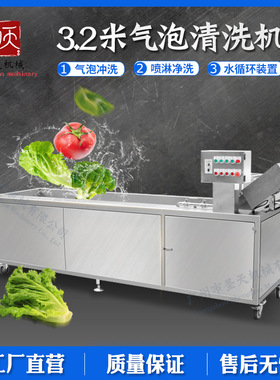 3.2米果蔬清洗机洗菜机气泡清洗机柑桔百香果辣椒蔬菜清洗机