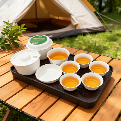 一次性便携功夫茶具套装