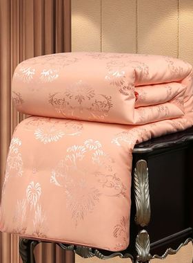 蚕丝被100%桑蚕丝被子冬被加厚棉被结婚喜被被芯春秋被空调被陪嫁