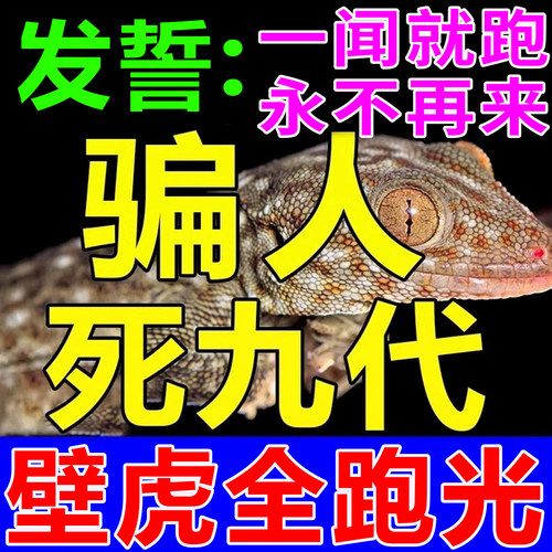 一放无壁虎】壁虎驱赶神器永不来