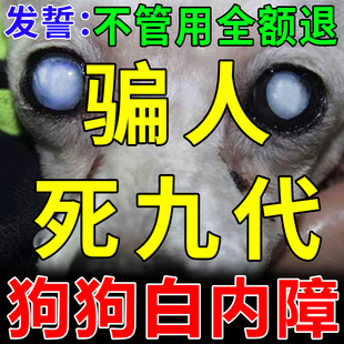 狗狗白内障专用眼药水中老年犬滴眼液宠物猫咪抑初期眼屎多去泪痕