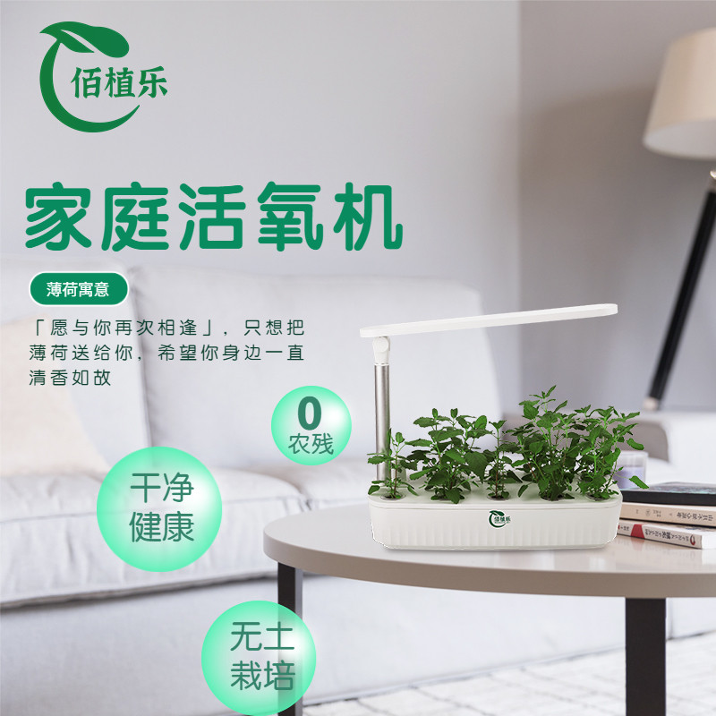 佰植乐AI补光灯无土种植机智能花盆无土水培新鲜香草厨房香料薄荷