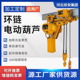 20T固定式 鬼头环链电动葫芦5 链条起重吊机380V电动提升机