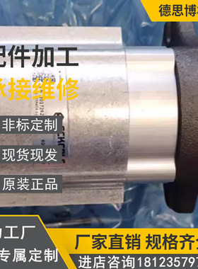 ECKERLE德国进口原装艾可勒齿轮泵890-E1-0500-RS2-C302高压油泵
