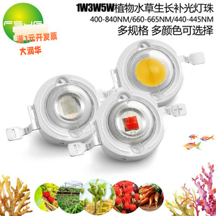 大功率仿流明集成1W3W5W灯珠 LED水族水草海藻珊瑚植物全光谱补光