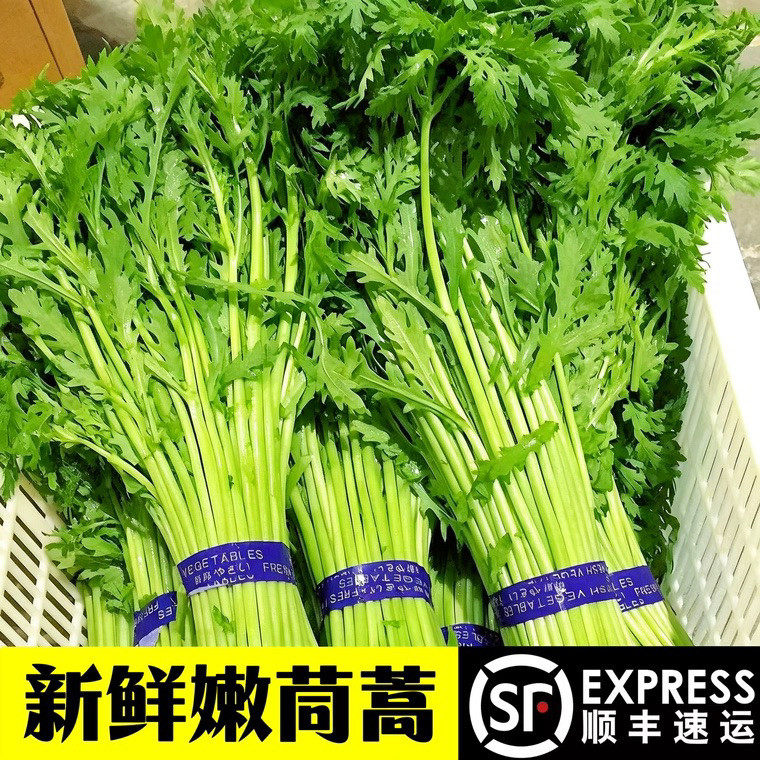 新鲜茼蒿顺丰冷链包邮
