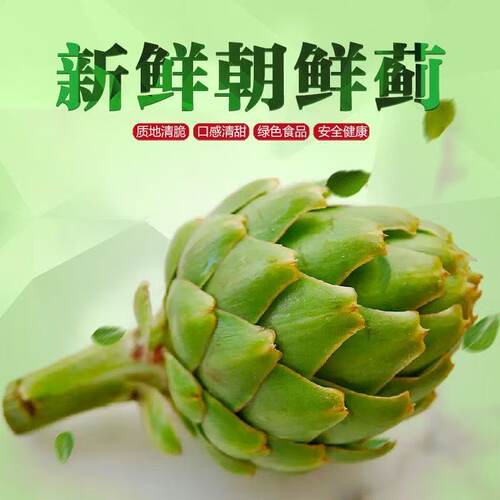 现摘现发云南特产洋蓟养肝护肝