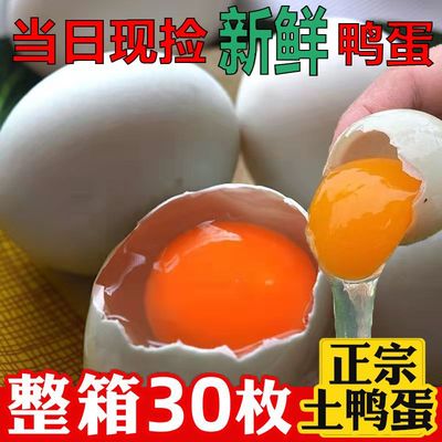 正宗农家散养土鸭蛋新鲜红心鸭蛋