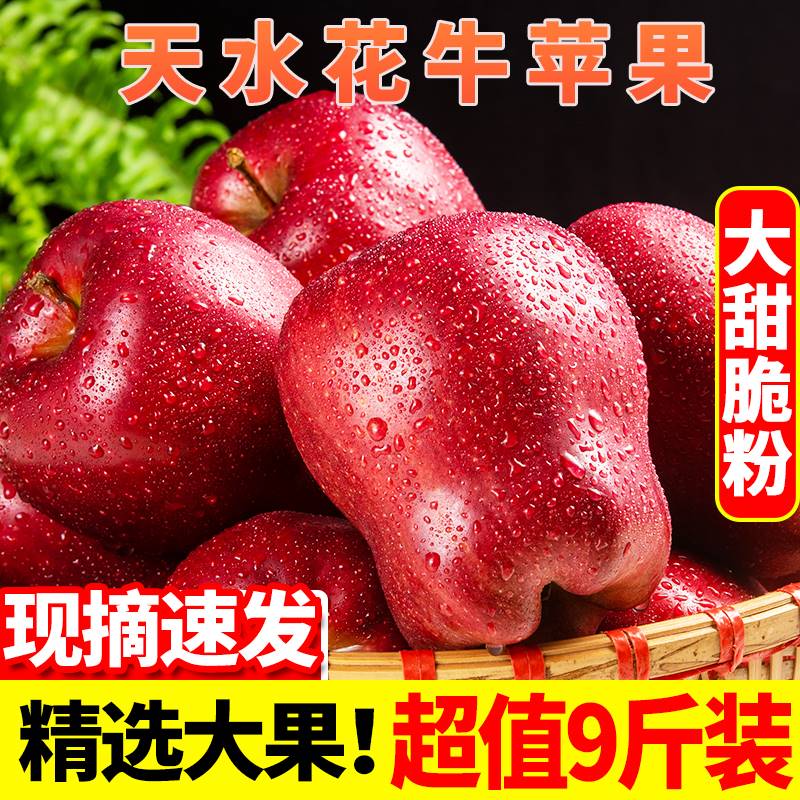 天水花牛苹果现摘香甜皮薄肉厚