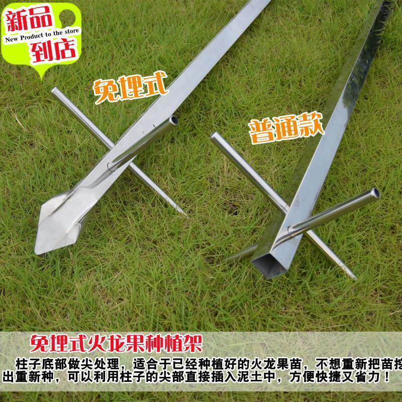 速发火龙植专用架不锈钢花架盆栽种果架架顶圈支绿植爬藤支撑架子