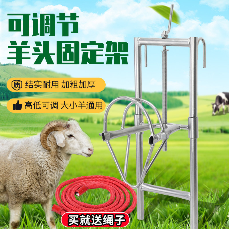 速发羊头固定架升降剪输液奶针配种挤羊推固定架子羊用打毛羊笼头