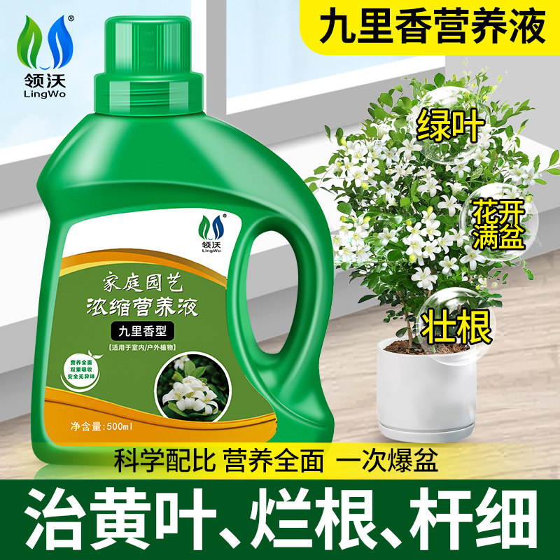 速发九里香专用营台液室培植物瓜果花卉多肉发财树养盆栽水内通用