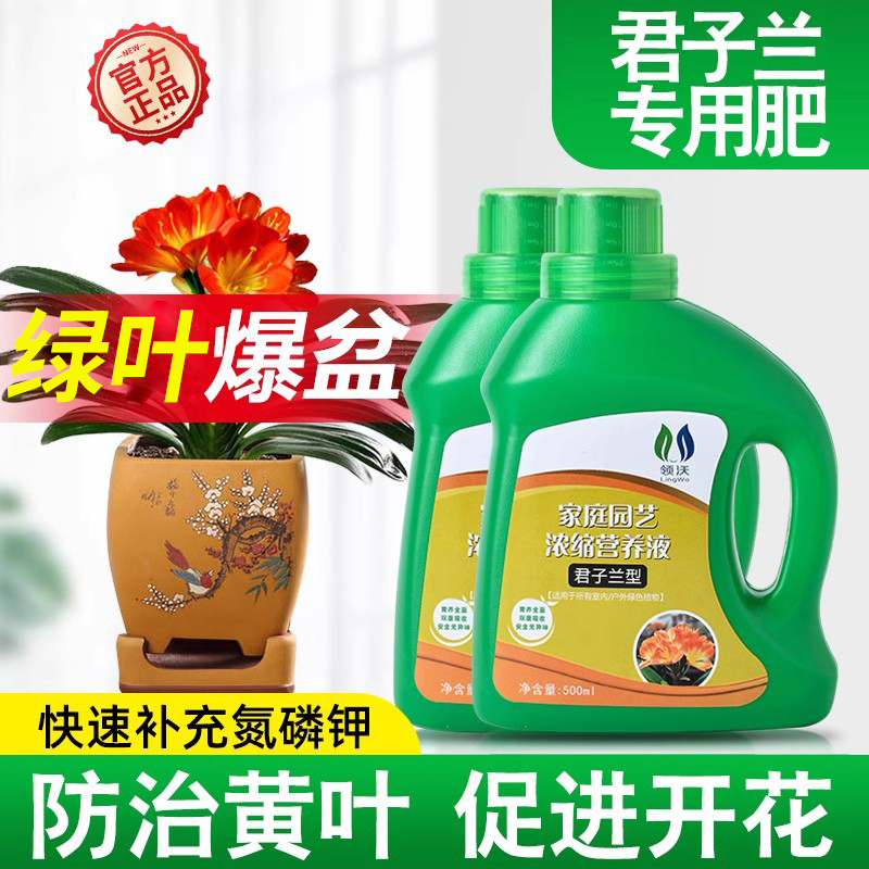 速发君子兰肥促富型营养液缩含氮磷钾壮根浓花营养丰富效果佳