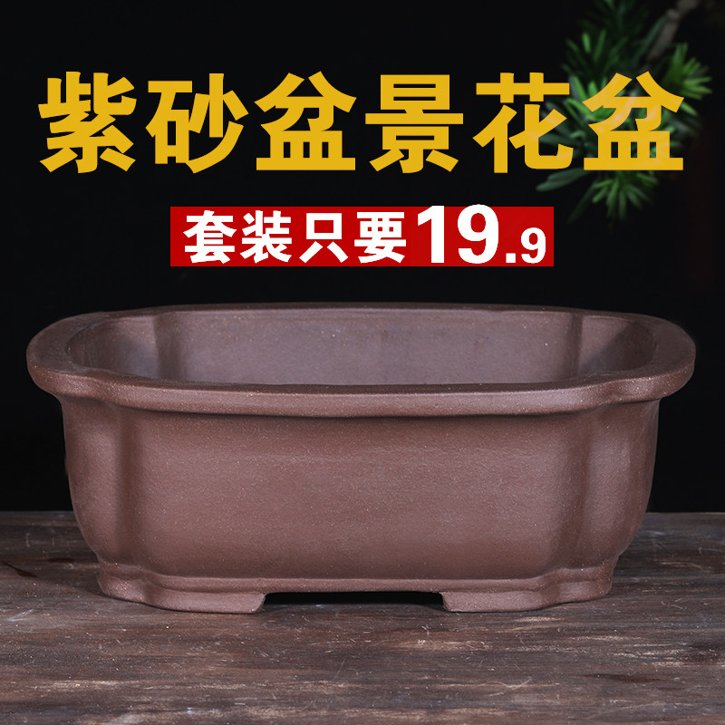 速发花盆紫021新款长方形2砂海棠盆景花盆处理陶瓷花盆热销榜