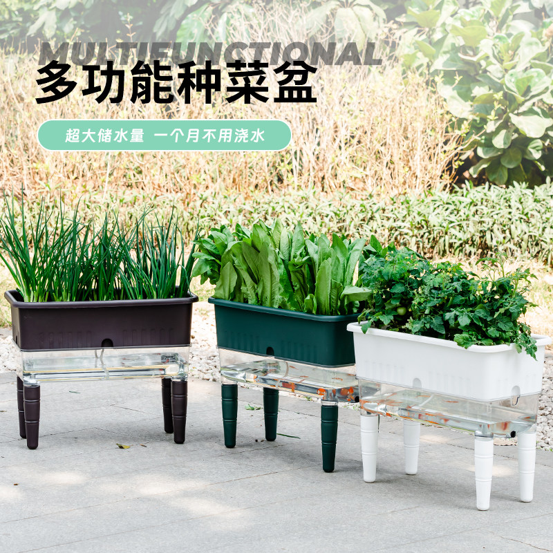 速发台家用盆自料吸水懒人大菜塑种植箱长方形种花种菜草莓大号