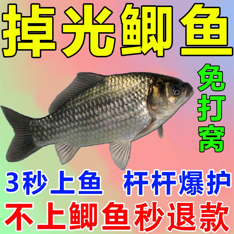 速发料钓鲫料黑坑野钓通杀食板鲫天热全能钓秋浓腥诱大剂