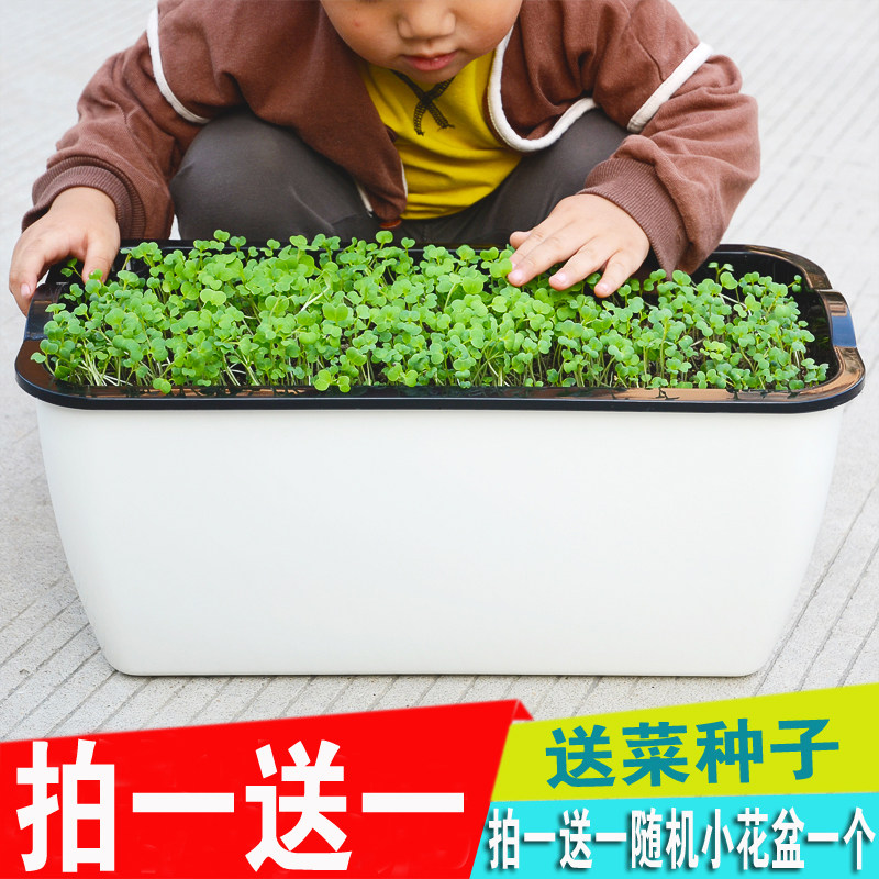 速发长方形特大懒庭储水台种菜花盆自蔬吸水加厚动菜盆人院养花种