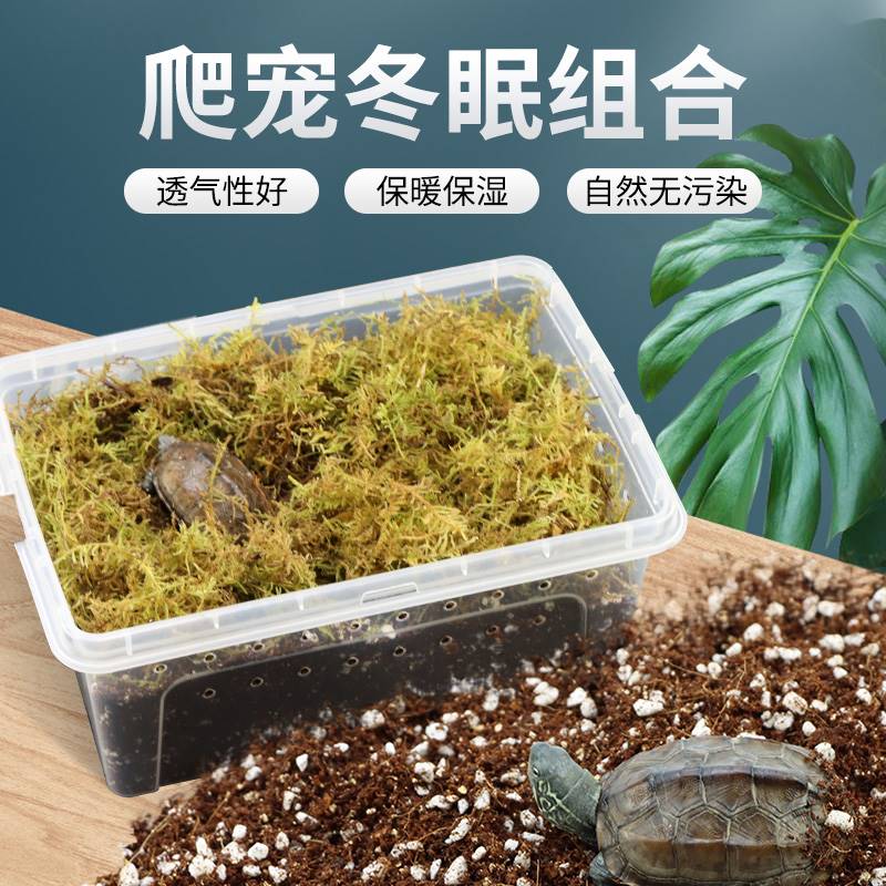 速发乌龟龟龟草冬眠用品椰土饲养箱沙子盒过冬装沙沙土备龟用土窝