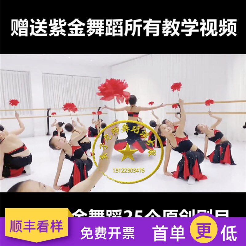 速发新款傣金舞蹈紫服舞儿花演出服舞蹈族孔雀练功服包臀鱼尾裙音