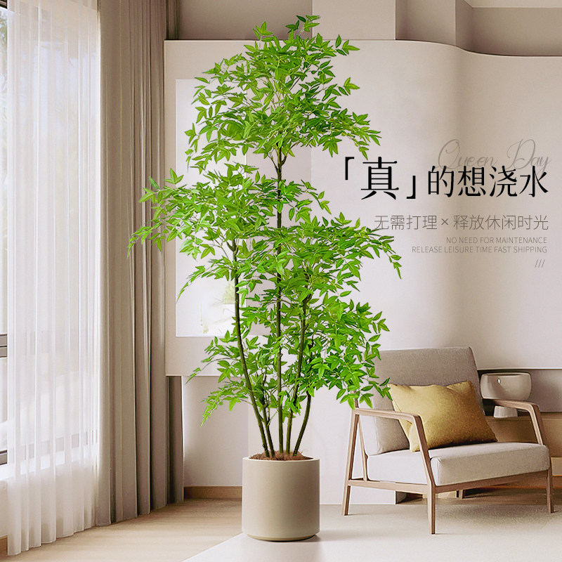 速发级植南天竹室内高绿装件摆饰客厅落地树盆栽奶油风假植物