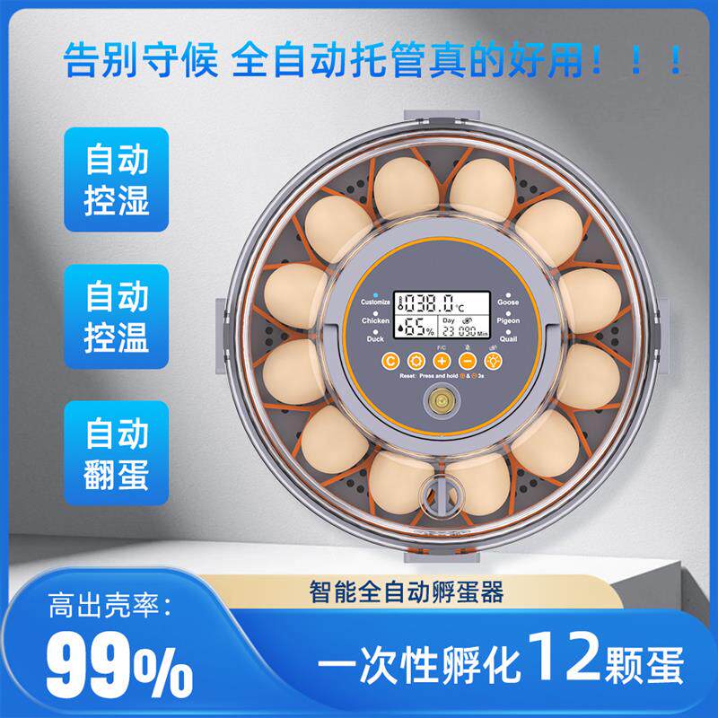 速发小型孵蛋器+鸡鸭鹅鹌鹑鸽子蛋孵化器+家用型孵化器+全智能孵