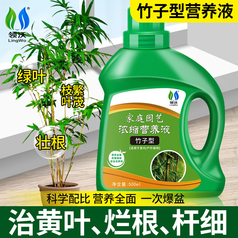 速发竹子营养液专用根培肥料预防水子发黄烂叶家用盆栽植物通用肥