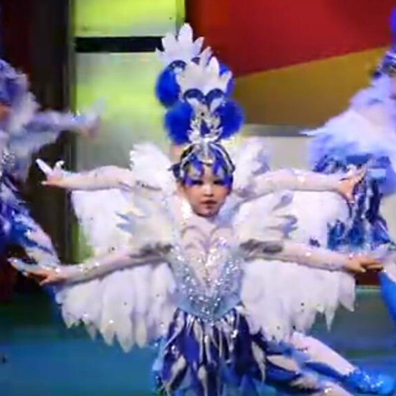 速发小款风采翼翔云天演出服20鹏5新荷动物舞蹈服鲲2展翅表演服装