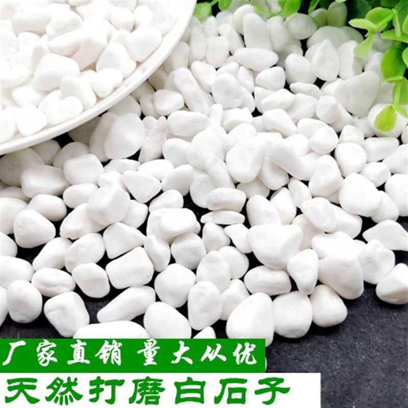 速发云南白石子小白石子鹅卵石原石多肉铺面石园路庭院铺艺造