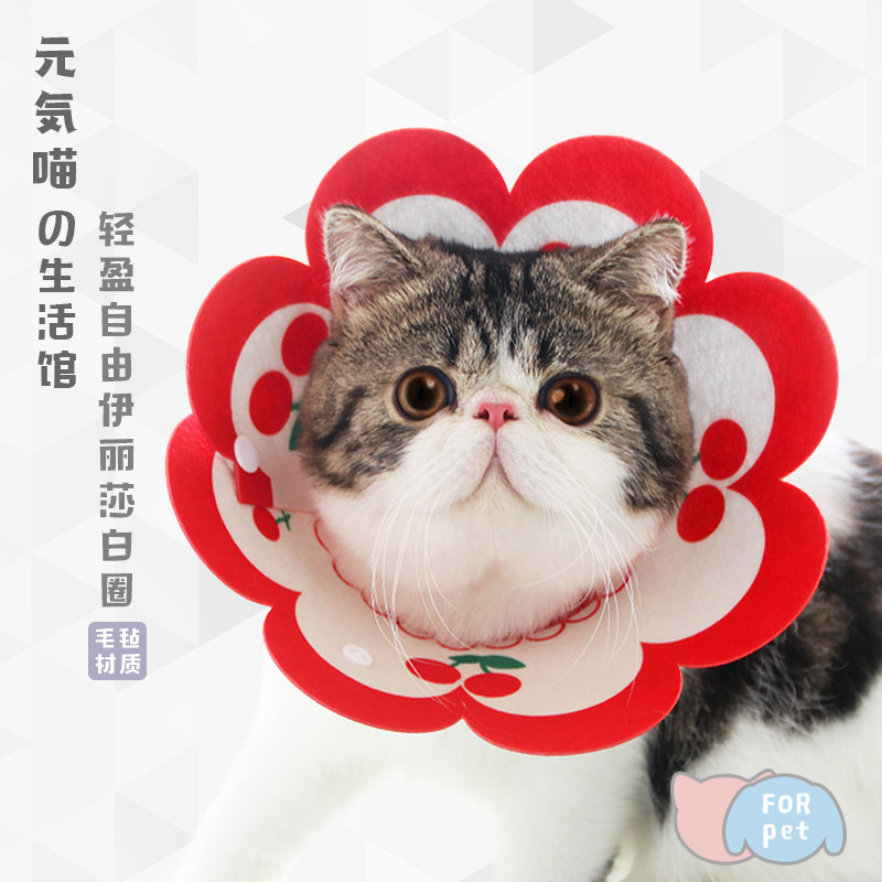速发元気喵丨伊丽莎圈圈防舔咬头套狗项白耻辱圈毛毡脖圈绝育用品