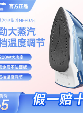 松下家用电熨斗大蒸汽干湿两用手持裁缝店衣服小型迷你电熨斗P075