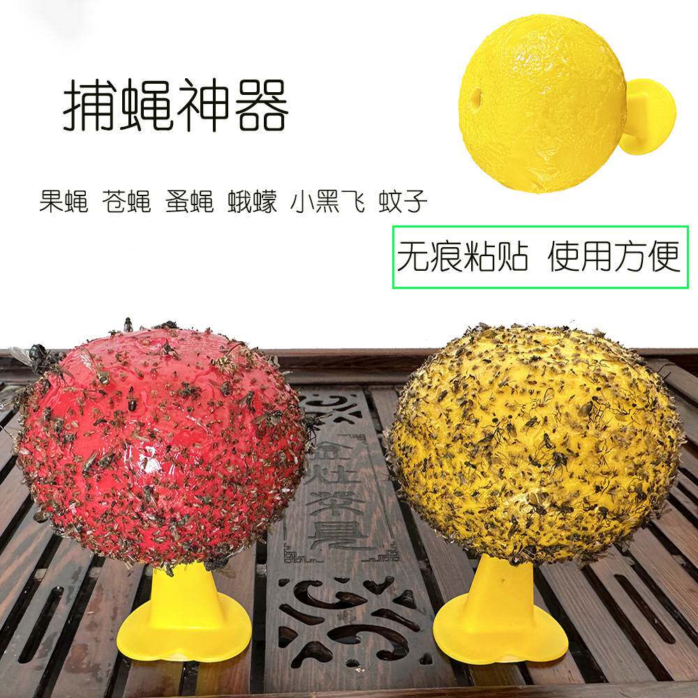 灭果蝇诱捕器厨房水果店沾蚊子垃圾桶除小飞虫贴克星粘苍蝇球