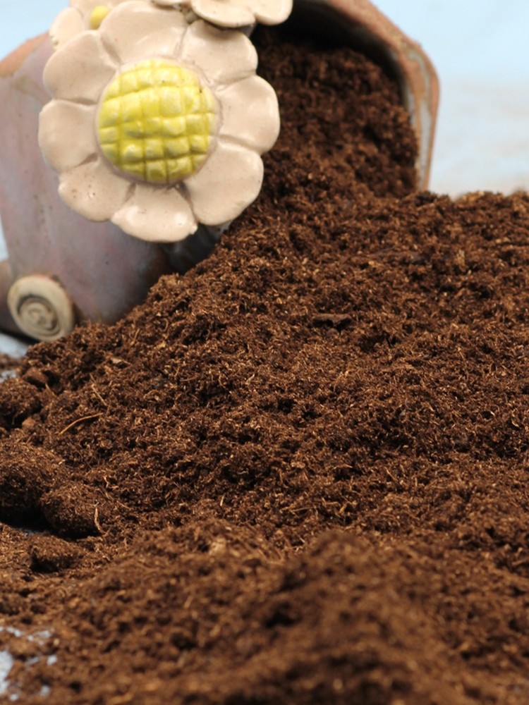 进口泥炭土多肉养花用营养土有机种植土种菜通用型非品氏德国大汉