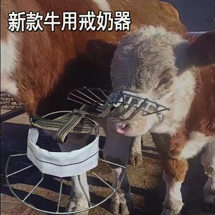 牛犊奶器新款 新款 圆形小牛犊子断奶神器犊牛戒奶一体成型家用通用