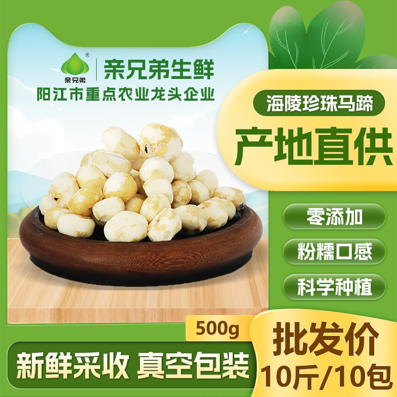 产地直供亲兄弟生鲜海陵珍珠马蹄批发价小马蹄去皮荸荠椰子鸡500g