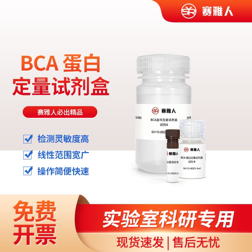 BCA蛋白浓度测定WB实验试剂盒